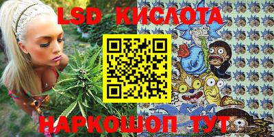 гашик Краснодар