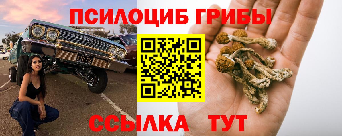 Галлюциногенные грибы прущие грибы Екатеринбург